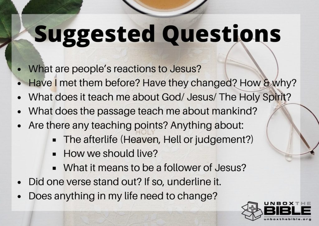 Bible-Study-Questions